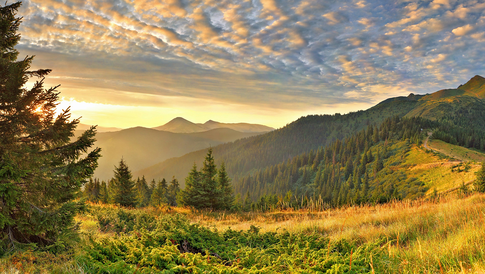 Los colores del otoño en la montaña.